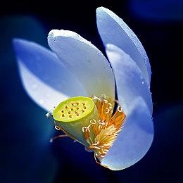 永劫无间X奥运冠军吕小军联动皮肤今日上线，新玩法武道争锋登场！